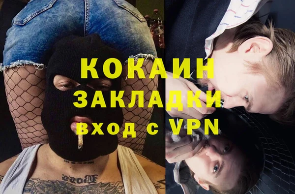 соль ск Алексин