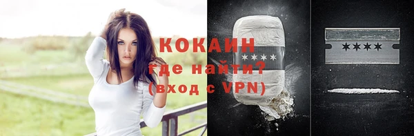 соль ск Алексин