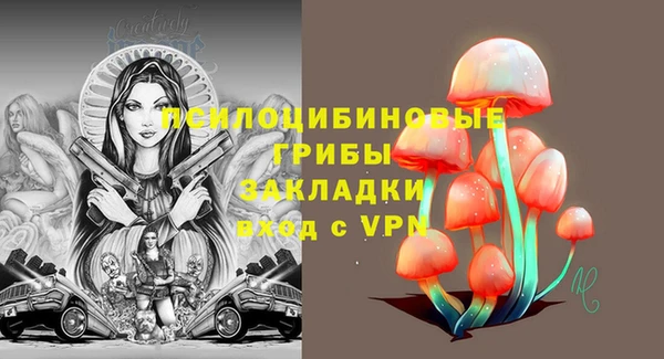 крисы Алексеевка