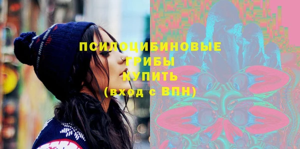 соль ск Алексин