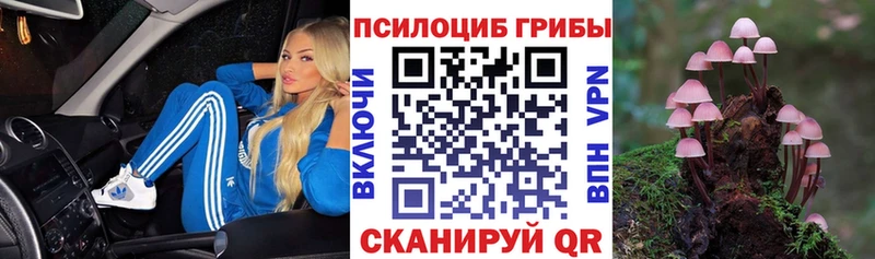 закладки  Заозёрный  Галлюциногенные грибы мицелий 